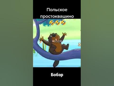 Бобэр - YouTube