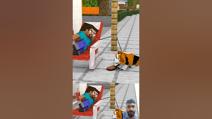 When Steve And His Dog Don'T Give Away To Each Other 😂️