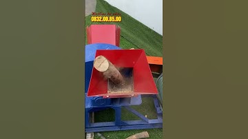 Kinh doanh, sản xuất hàng tấn dăm gỗ kiếm thêm thu nhập với Máy băm gỗ đa năng 5T