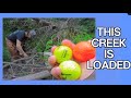 Hidden Creek Filled with Golf Balls — You Won’t Believe How Many!
