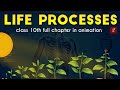 Life processes class 10 full chapter animation  class 10 science chapter 6  cbse  ncert