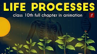 Life Processes Class 10 full Chapter (Animation) | Class 10 Science Chapter 6 | CBSE | NCERT