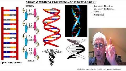 yin yang explained 01.Trinity of Dao, Heaven, Earth, Man, Caduceus symbol, DNA molecule-part 1.