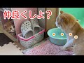 虎徹、モフと急接近!?酔っ払い煉さんの失態