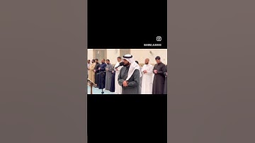 #تلاوات #تلاوة_خاشعة #قرآن #قران_كريم #تلاوة_هادئة #احمد_النفيس #القارئ #القارئ_احمد_النفيس