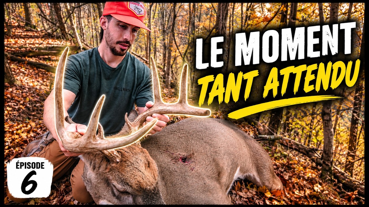 Je change d'arbre... QUEL MATIN! (Chevreuil à l'arc) | EP6