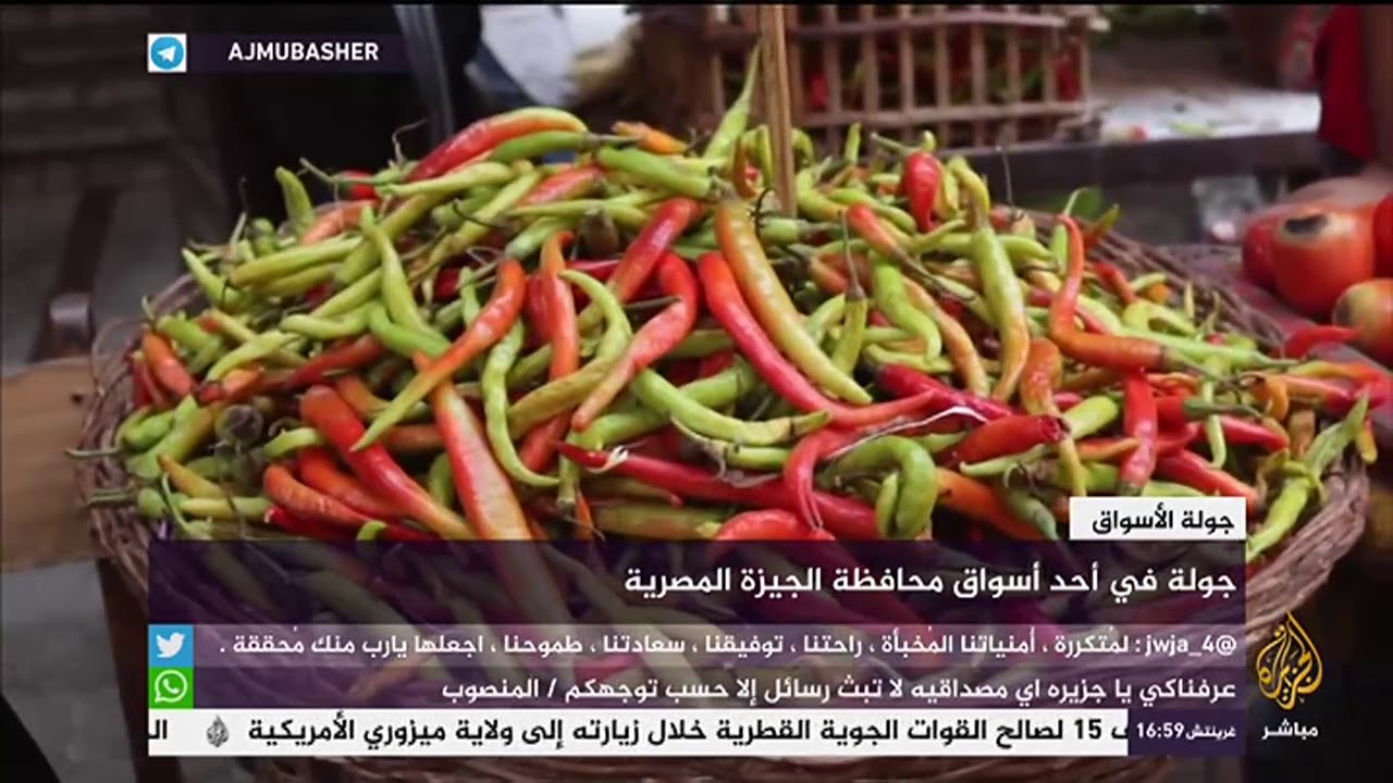 جولة في أحد أسواق محافظة الجيزة المصرية