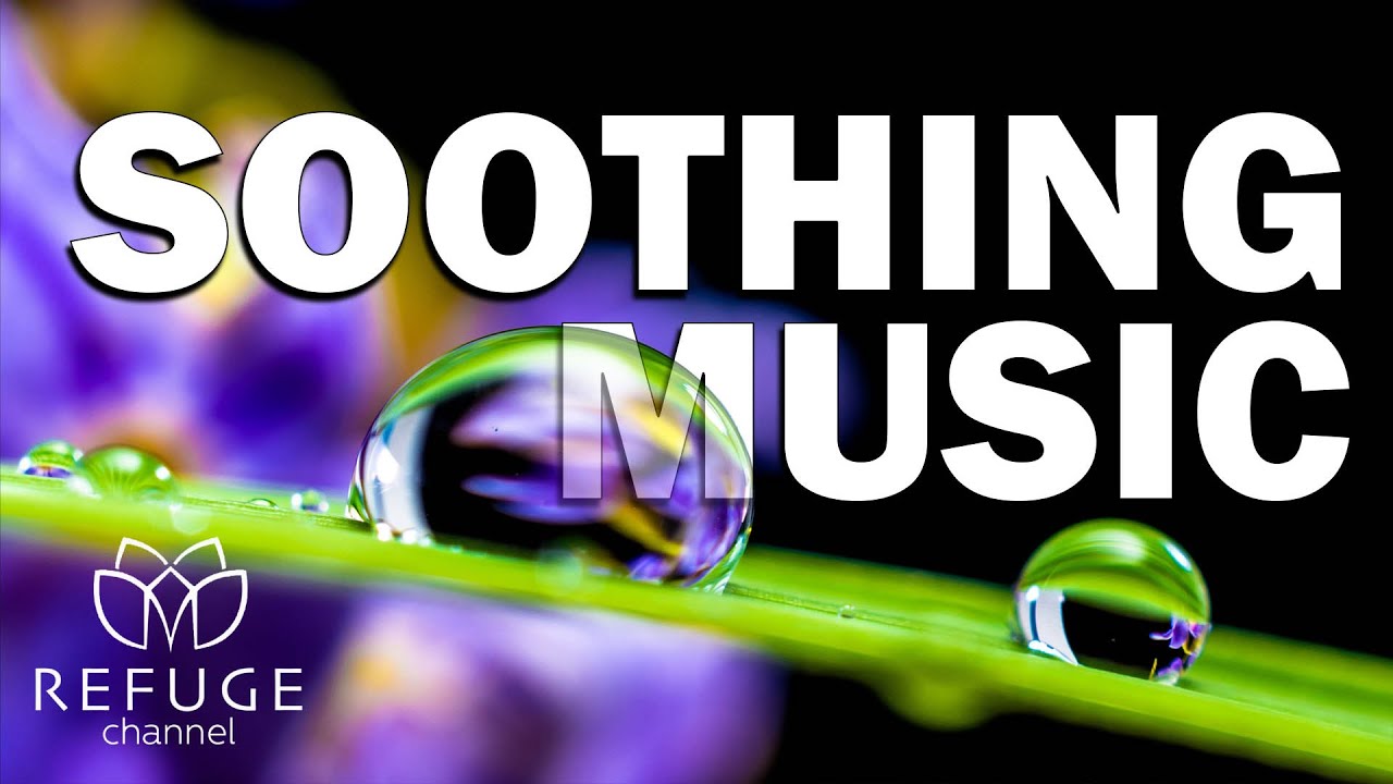 SOOTHING MUSIC - Calm music for studying, focus, nature, relaxation to the sound of rain.