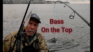 Bass fishing with Top Water Lures on a Sussex reef