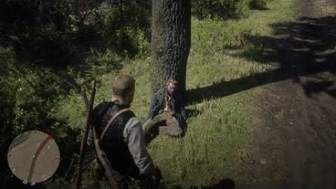 What Happens if you Follow The Guy That Wrecked His Wagon After He Tells You To Watch his stuff-RDR2