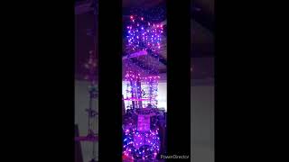 Holiday Palm Tree Test 3