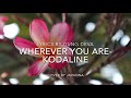Lyrics Wherever You Are- Kodaline (Cover by Javanna)