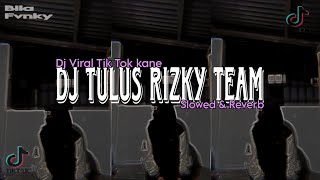 Download lagu DJ TULUS • opo anane tomponen Viral_Tik Tok mengkane  { RIZKY TEAM } // SLOWED & REVERB 🔥🎧