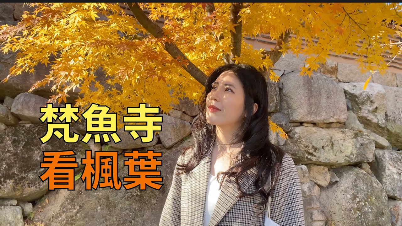 韓國釜山梵魚寺楓葉景觀 부산 범어사