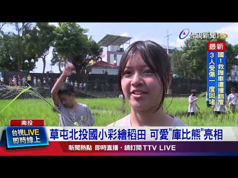 250位師生種下 美麗彩繪稻田正值觀賞期