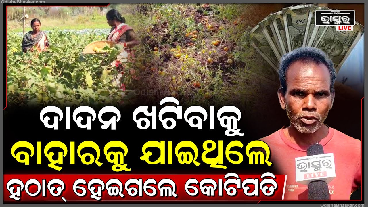 ଦାଦନ ଖଟିବାକୁ ବାହାର ରାଜ୍ୟକୁ ଯାଇଥିଲେ, ହଠାତ୍ ହେଇଗଲେ କୋଟିପତି...