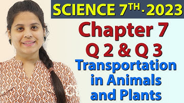 Q 2 (vii, viii) & Q 3 :- Chapter 7 - Transportation in Animals and Plants - Science Class 7th NCERT