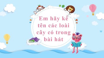 TNXH Bài 16 Thực vật sống ở đâu? KNTT