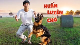 Quang BM | Một Ngày Huấn Luyện Becgiê 🐕 | Training For Becgie Dog