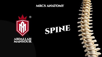 MRCS part B| Cervical and lumbar spine anatomy revision