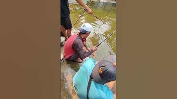 sama sama mancing #kpsumbertaman #mancing #fishing #shorts #video #viral #ikan #fish
