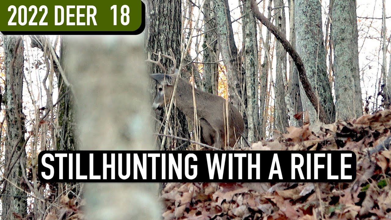 STILLHUNTING TIPS - Stalking Hill Country Deer in Crunchy Leaves
