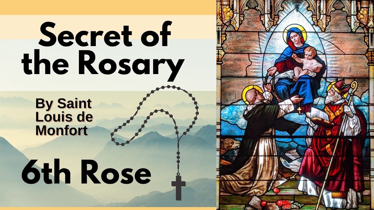 6th Rose The Secret Of The Rosary Book YouTube 6th rose the secret of the rosary book youtube