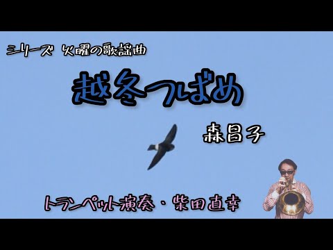 【火曜の歌謡曲122】越冬つばめ/森昌子 演奏・柴田直幸