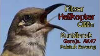 Masteran Juara Terbaik Cucak Kombok Fitser Helikopter Gereja Cililin Kuntilanak Pelatuk Bawang AK47