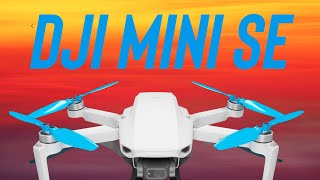 DJI MINI SE, Hello World! This Is The Best Drone Ever For $299! The Drone For Everyone! Net Worth