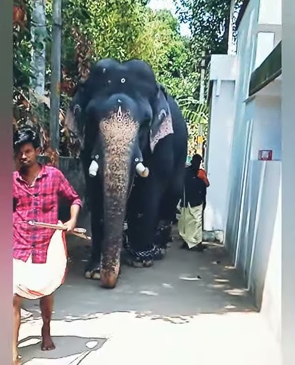 Chepra kannan