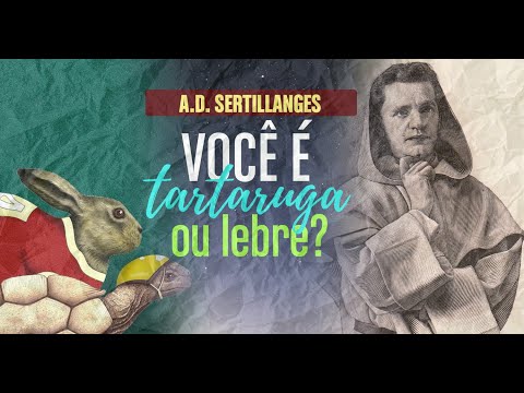 Você é tartaruga ou lebre na vida de estudos? - A Vida Intelectual, por A. D. Sertillanges #7