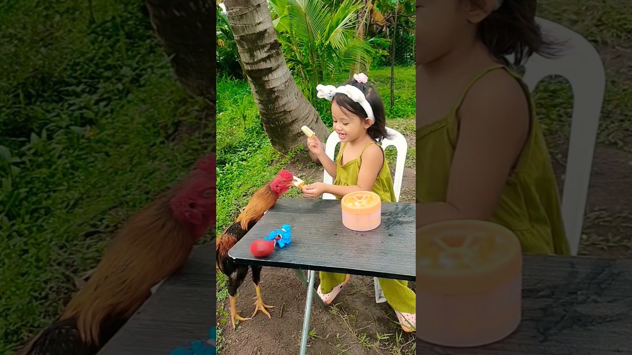 Surprised Ice cream with Chicken #chicken  #animals  #cute  #trending  #fyp