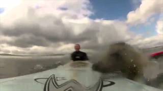 Friendly Seal Rides The Waves With Surfers