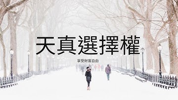 【天真選擇權】 2025-1111-程式交易-python-api-盤中實況-