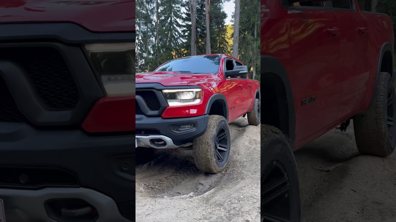 Azi in Timisoara, maine …?🚀 