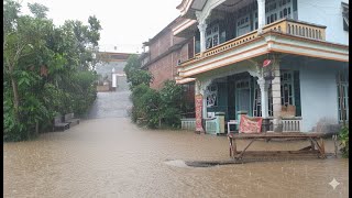 🌧️ Heavy Rain Sounds in the Countryside | Relaxation, Deep Sleep & Stress Relief
