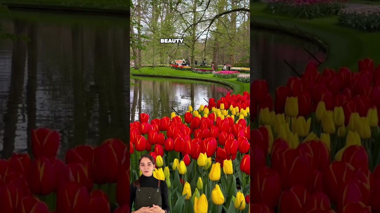 MUST-VISIT for everyone 😍 