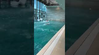 教練之間對決swim coach vs