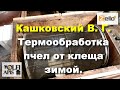 #Кашковский В. Г. #Термообработка_пчел от клеща зимой .