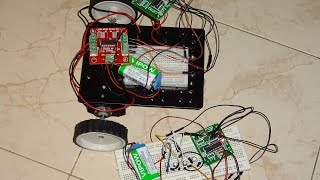 RF Wireless Bot