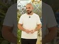 كاشت الشعر في مشهد كيف تحقق النتائج المثالية في كلینیک نوین ایرانا