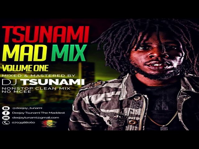 Deejay Tsunami Maddmix Vol 1 class=