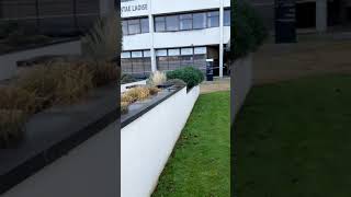 Civic Plaza Tour
