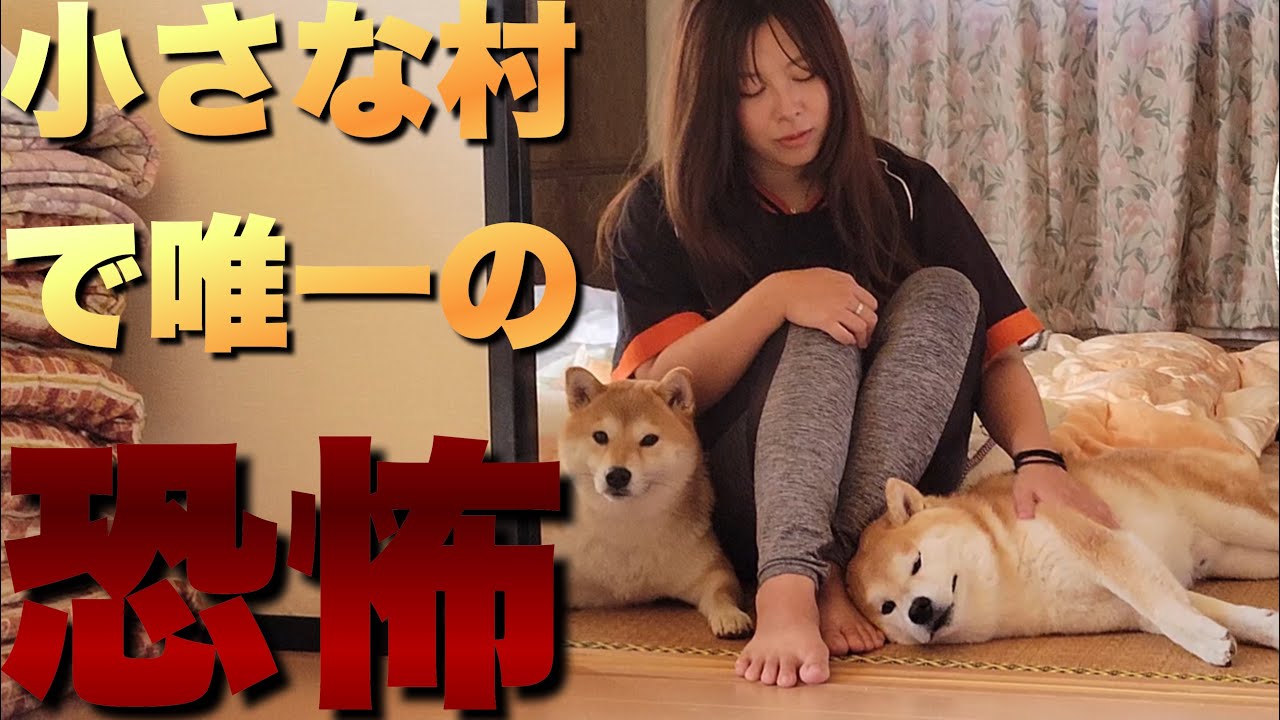 Living in a village with a Shiba Inu and no running water, bath