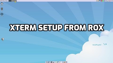 xterm setup within Rox filer: using voidpup64 puppylinux
