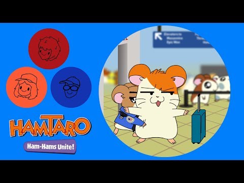 12 Plays Hamtaro Ham Hams Unite A HIDEO KOJIMA GAME
