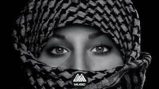 Anas otman Light of the Moon