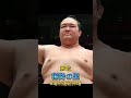 1位はまさかの？横綱の連続休場場所数ランキング！ #shorts