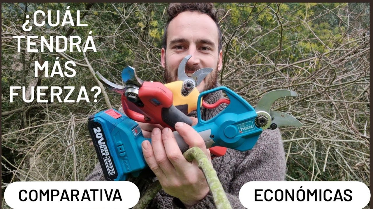 TIJERAS de PODA de BATERIA